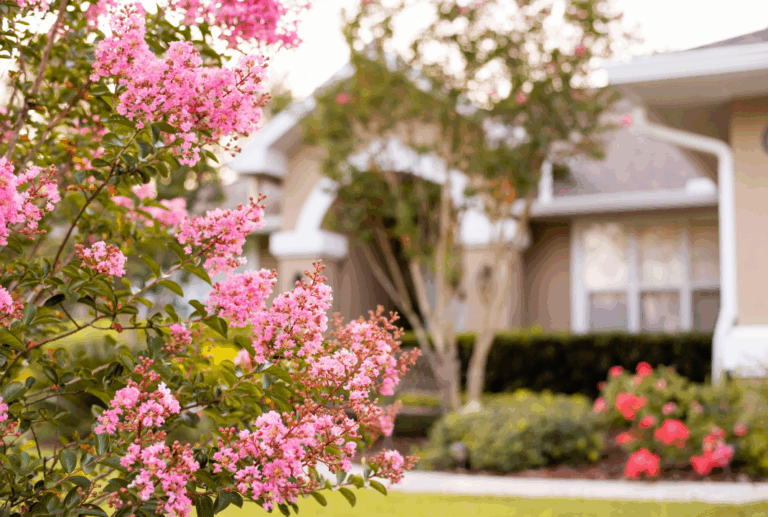 Simple Home Modifications That Keep Seniors Safe